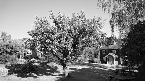 Traditionelle Schwedenhäuser in der Region Smalland, schwarz-weiß-Aufnahme