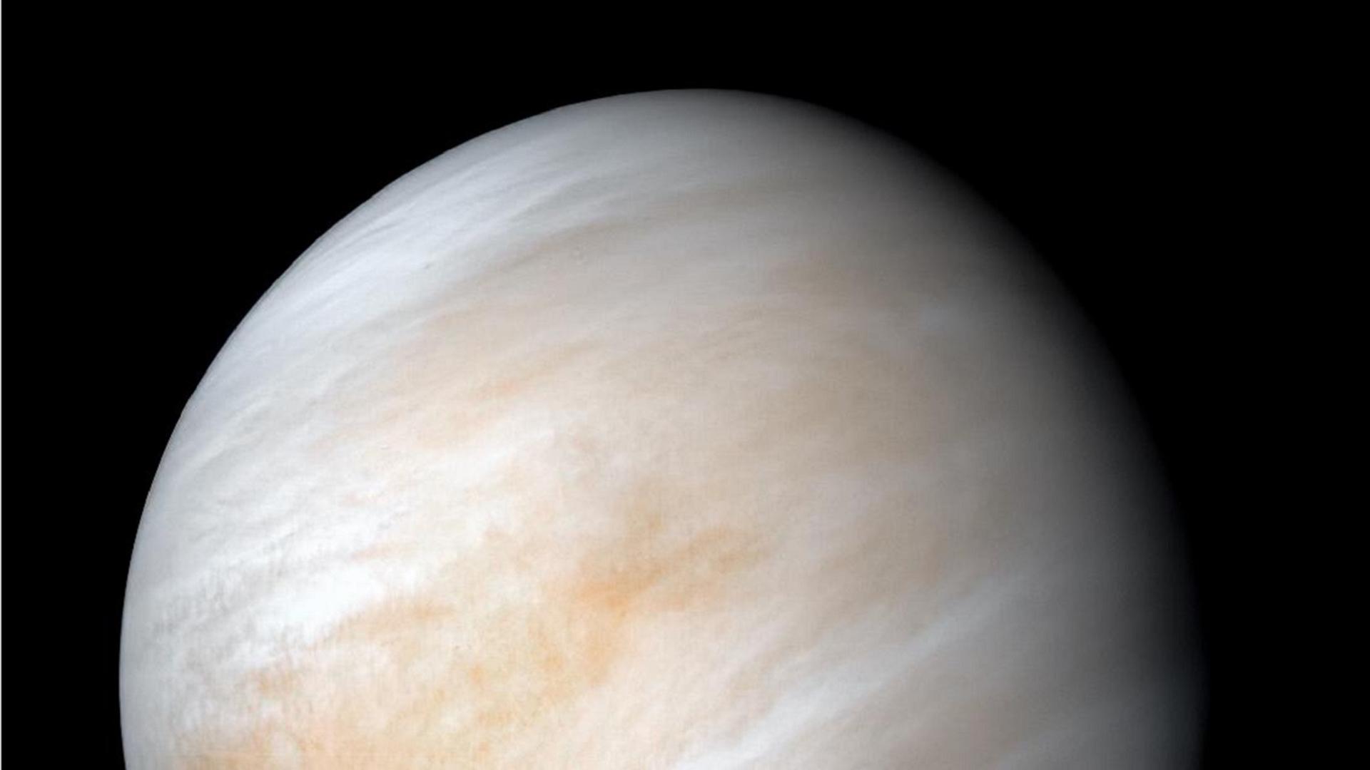 Der Planet Venus auf einer Aufnahme der NASA. Die Oberfläche glänzt apricotfarben, dazwischen weiße Streifen. Beides erinnert an die reliefartige Struktur eines Steines. 