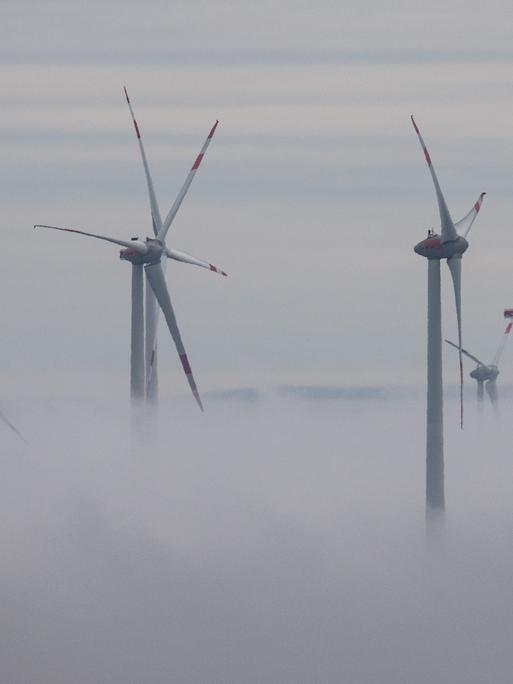 Windräder ragen aus einer dichten Nebelwand heraus.