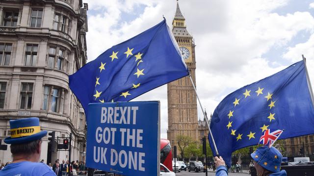 Vor dem britischen Parlament in London stehen proeuropäische Demonstrierende mit EU-Flaggen. Eine Person hält ein Schild mit der Aufschrift „Brexit got the UK done“.