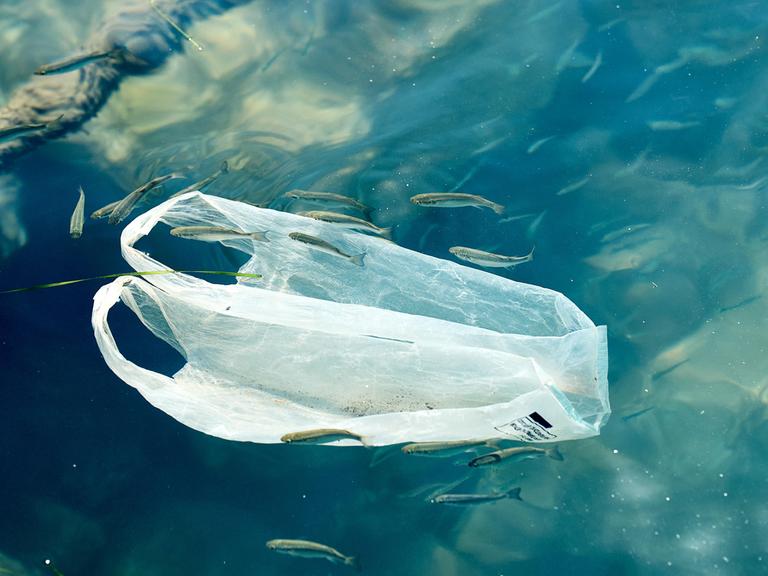 Plastiktüte treibt im Meer und zeigt die verheerenden Auswirkungen von Umweltverschmutzung auf die Meeresfauna. Plastikmüll ist eine große Bedrohung für die Ozeane und ihre Bewohner