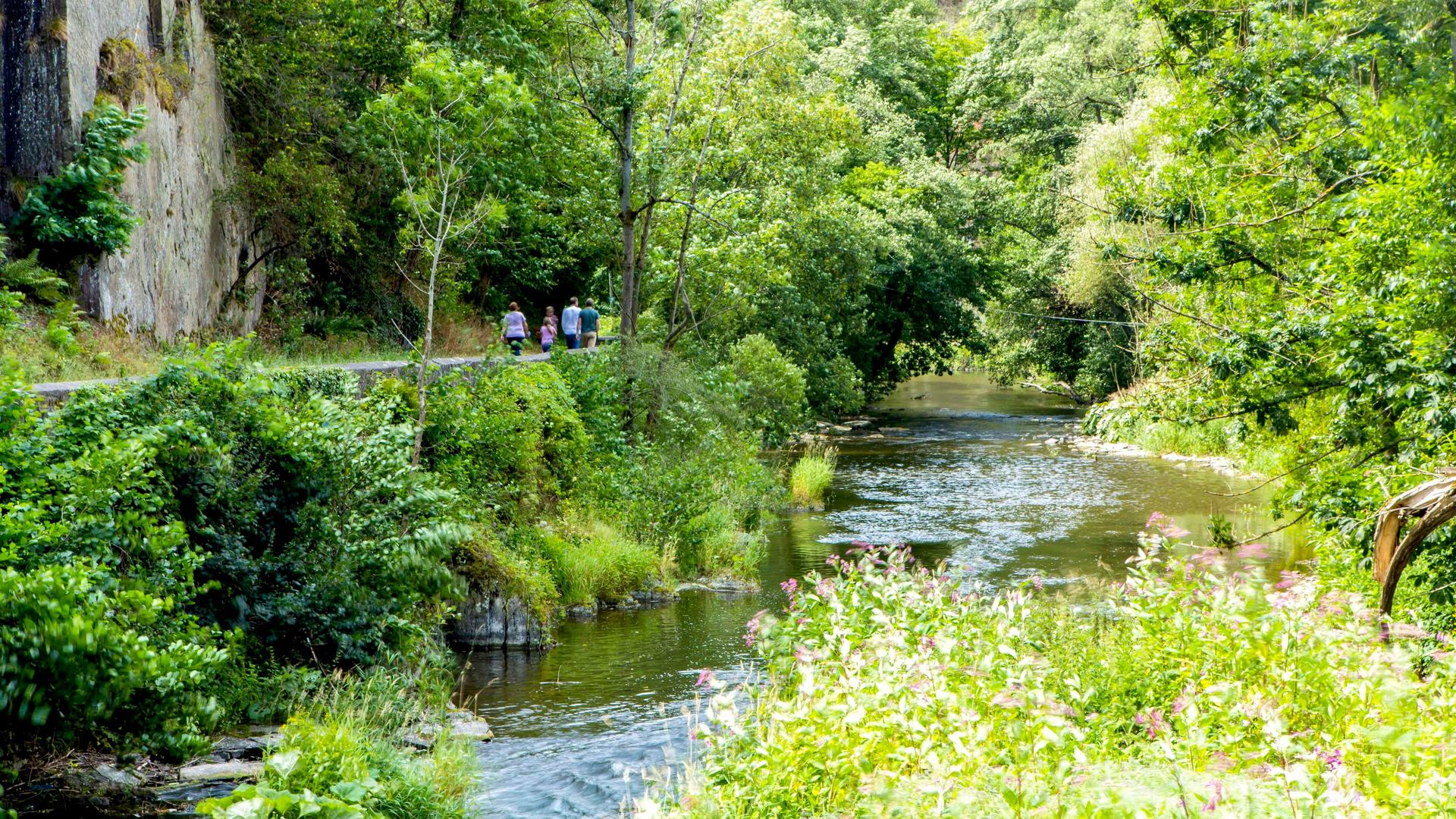 Die Ahrschleife bei Altenahr ist ein 205 Hektar großes Naturschutzgebiet an der Ahr, dass sich im Langfigtal südlich der Ortslage von Altenahr im Landkreis Ahrweiler befindet Die Ahrschleife bei Altenahr ist ein 205 Hektar großes Naturschutzgebiet an der Ahr, dass sich im Langfigtal südlich der Ortslage von Altenahr im Landkreis Ahrweiler befindet