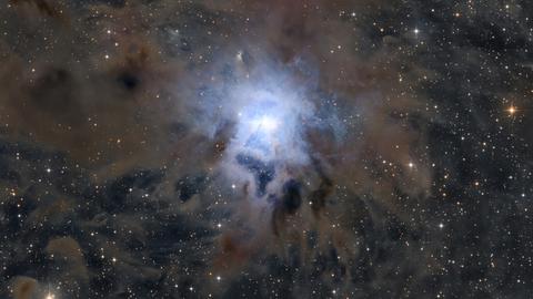 Von der NASA ausgezeichnet: Der Iris-Nebel (NGC 7023), aufgenommen von Justus Falk mit seinem Teleskop in Tetenhusen in Schleswig-Holstein.