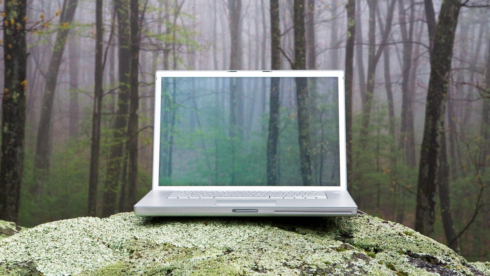 Ein Laptop steht auf einem Stein im Wald. Auf dem Monitor des Laptops ist ein Ausschnitt des Waldes zu sehen Ein Laptop steht auf einem Stein im Wald. Auf dem Monitor des Laptops ist ein Ausschnitt des Waldes zu sehen