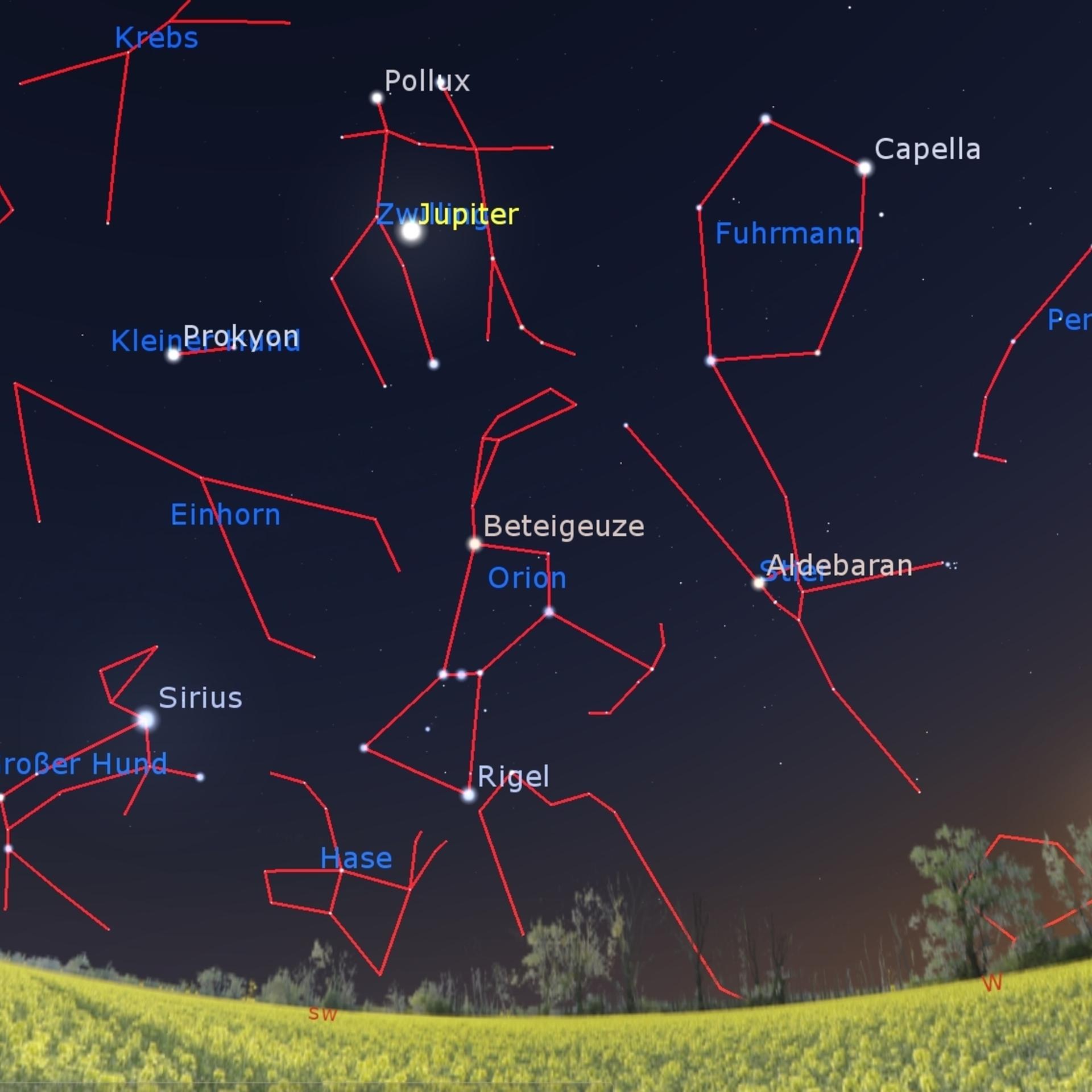 Winter vorbei - Letzte Chance für Orion, Stier und die Hunde