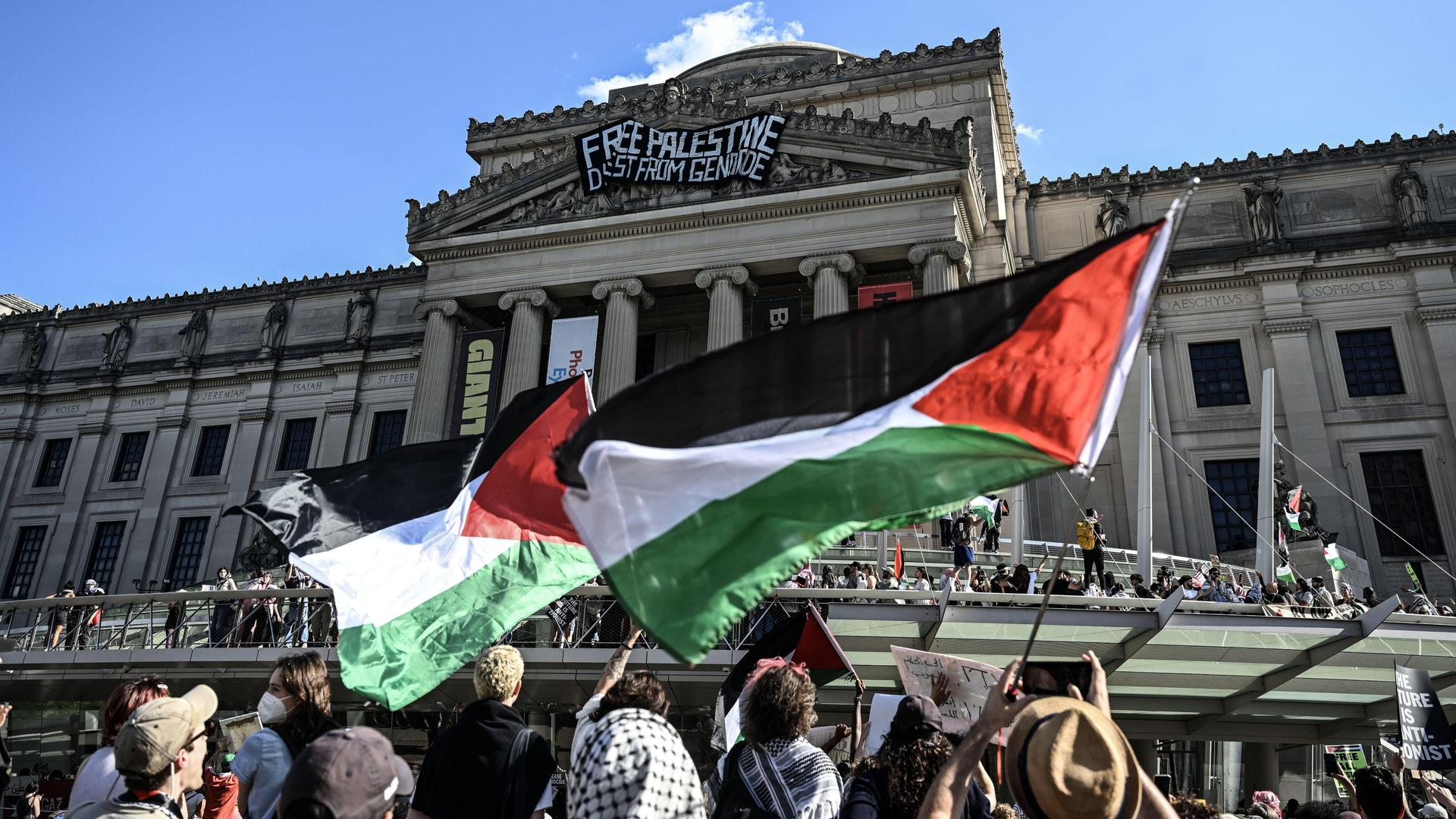 Demonstranten mit Palästina-Fahnen stehen vor dem Brooklyn Museum in New York.