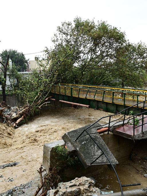 Blick auf die überschwemmte griechische Stadt Volos, Wassermassen haben einen Baum entwurzelt und Brücken zerstört 