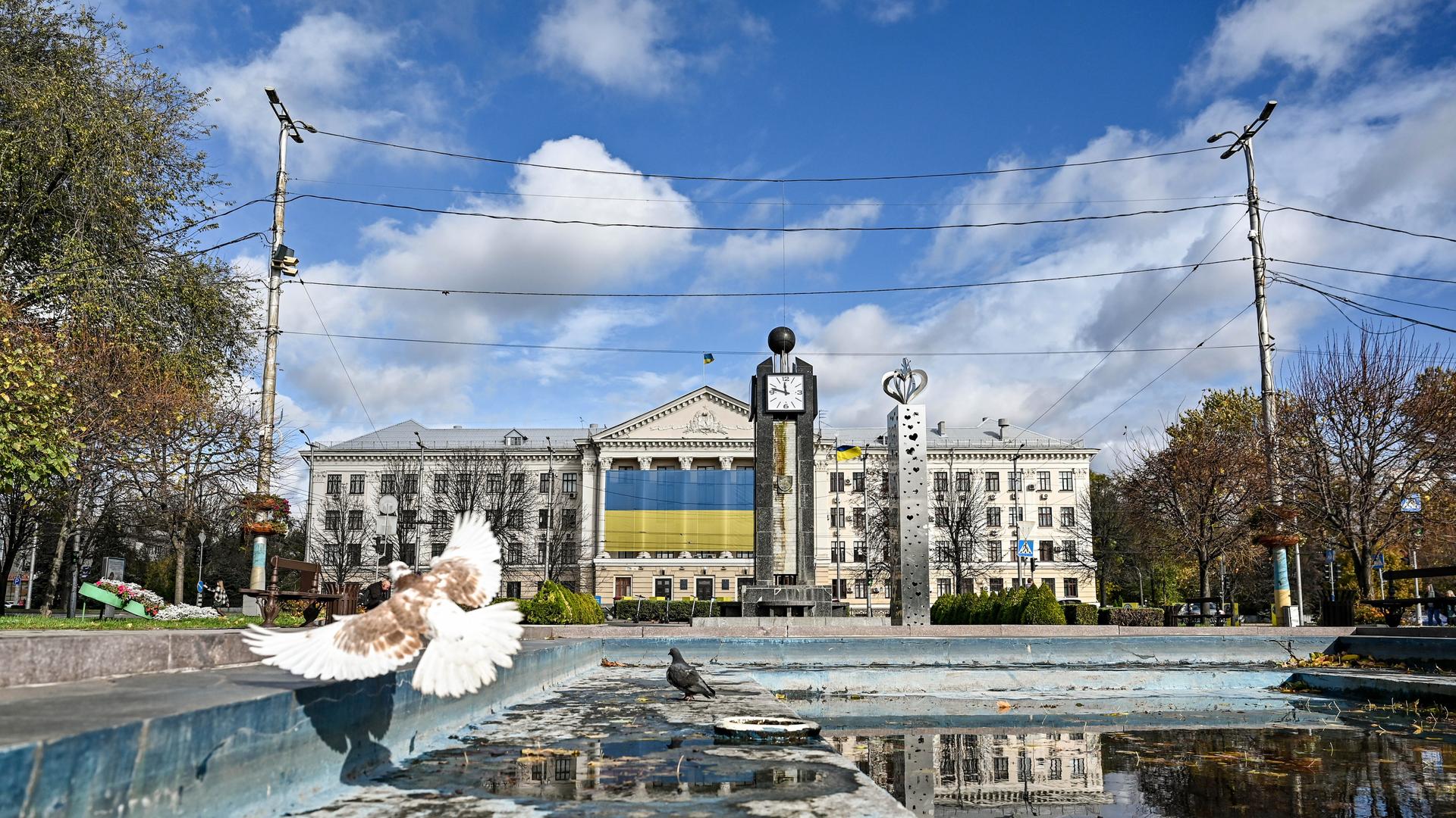 In der ukrainischen Stadt Saporischschja fliegt eine Taube von einem Brunnen auf, in dem wenig Wasser steht.