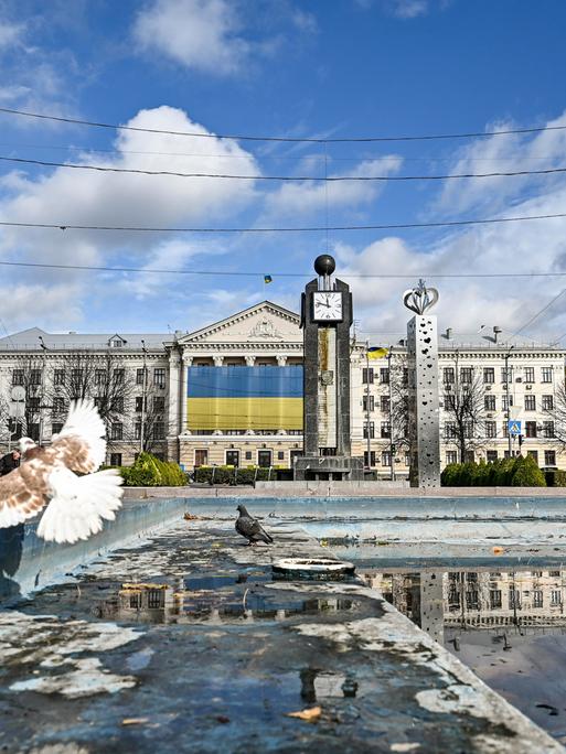 In der ukrainischen Stadt Saporischschja fliegt eine Taube von einem Brunnen auf, in dem wenig Wasser steht. Im Hintergrund ein Behördengebäude mit der Flagge der Ukraine. (06.11.2023)