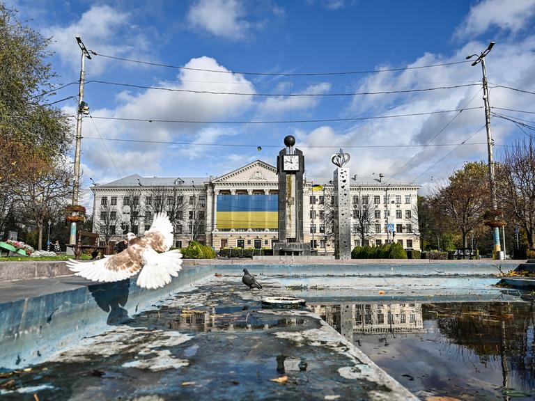 In der ukrainischen Stadt Saporischschja fliegt eine Taube von einem Brunnen auf, in dem wenig Wasser steht. Im Hintergrund ein Behördengebäude mit der Flagge der Ukraine. (06.11.2023)