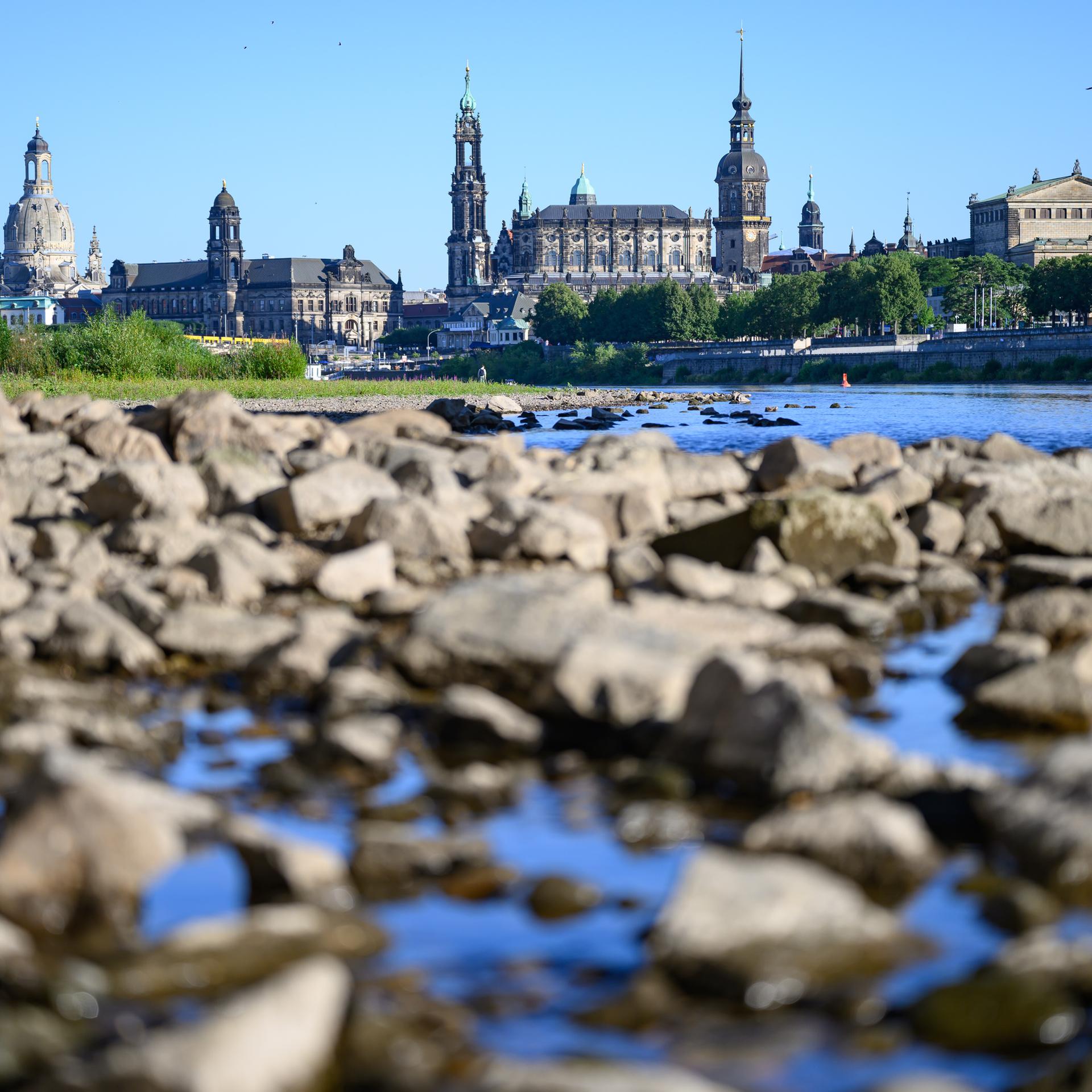 Steine liegen am ausgetrockneten Ufer der Elbe vor der historischen Altstadtkulisse von Dresden.