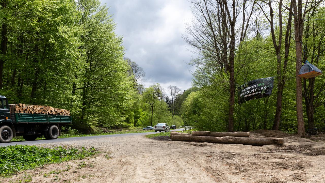 Aktivisten haben an einer Zufahrtsstraße zu einem Waldgebiet ein Protestplakat und ein in einem Baum hängendes Biwakzelt aufgehängt; (14.5.2021 in der Nähe von Arlamow, Karpaten, Südost-Polen)  