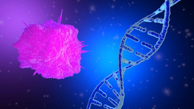 Links ist ein Zelle in rosa dargestellt, rechts eine DNA-Helix mit beiden Strängen