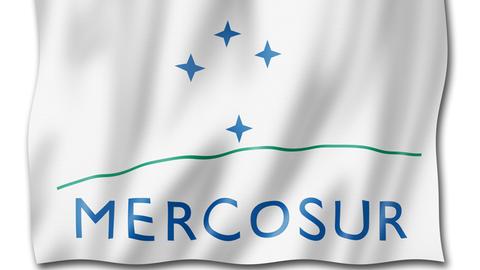 Eine Mercosur-Flagge auf weißem Hintergrund.