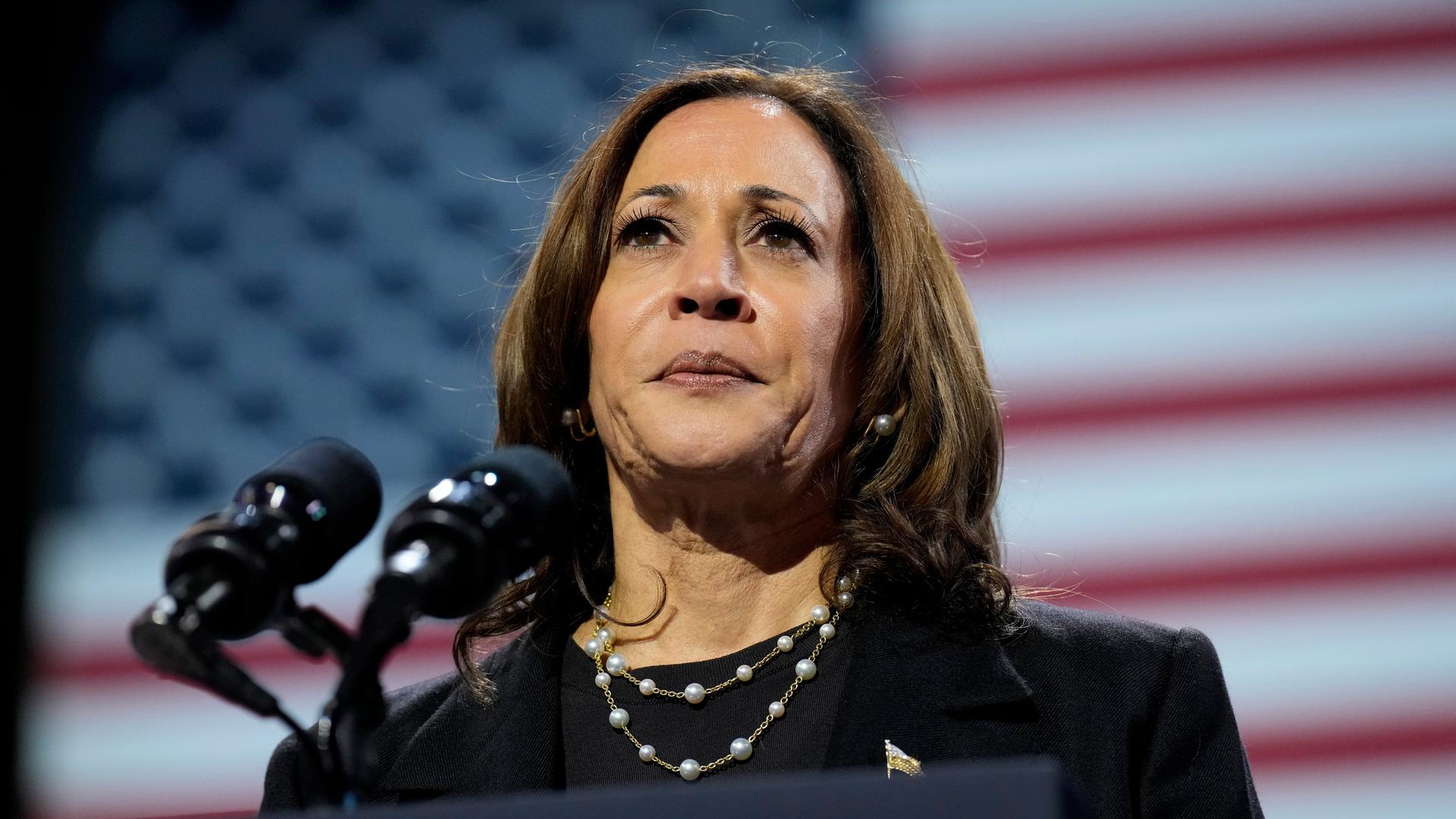 USA, Erie: Die demokratische Präsidentschaftskandidatin und US-Vizepräsidentin Kamala Harris spricht während einer Wahlkampfveranstaltung vor einer großen US-Flagge