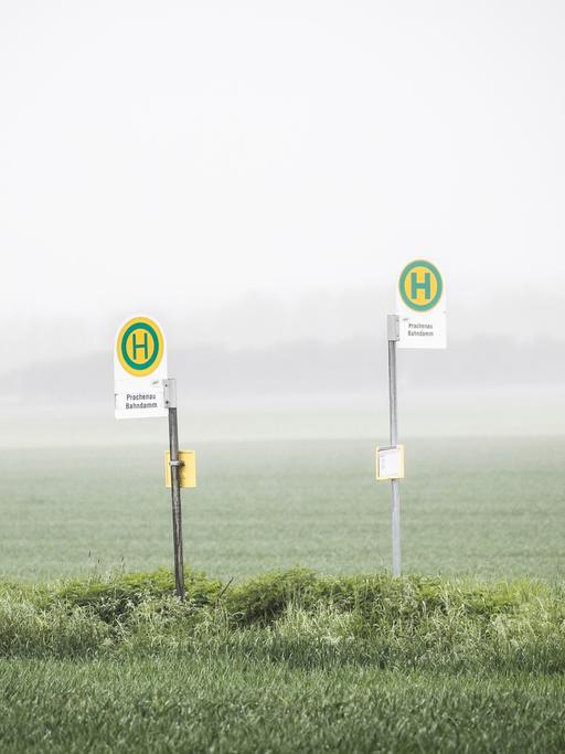 Bushaltestelle auf dem Land in Vierkirchen (Symbolfoto) Bushaltestelle auf dem Land in Vierkirchen (Symbolfoto)