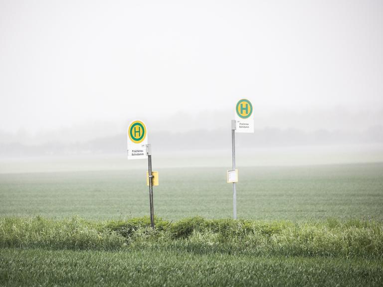 Bushaltestelle auf dem Land in Vierkirchen (Symbolfoto) Bushaltestelle auf dem Land in Vierkirchen (Symbolfoto)