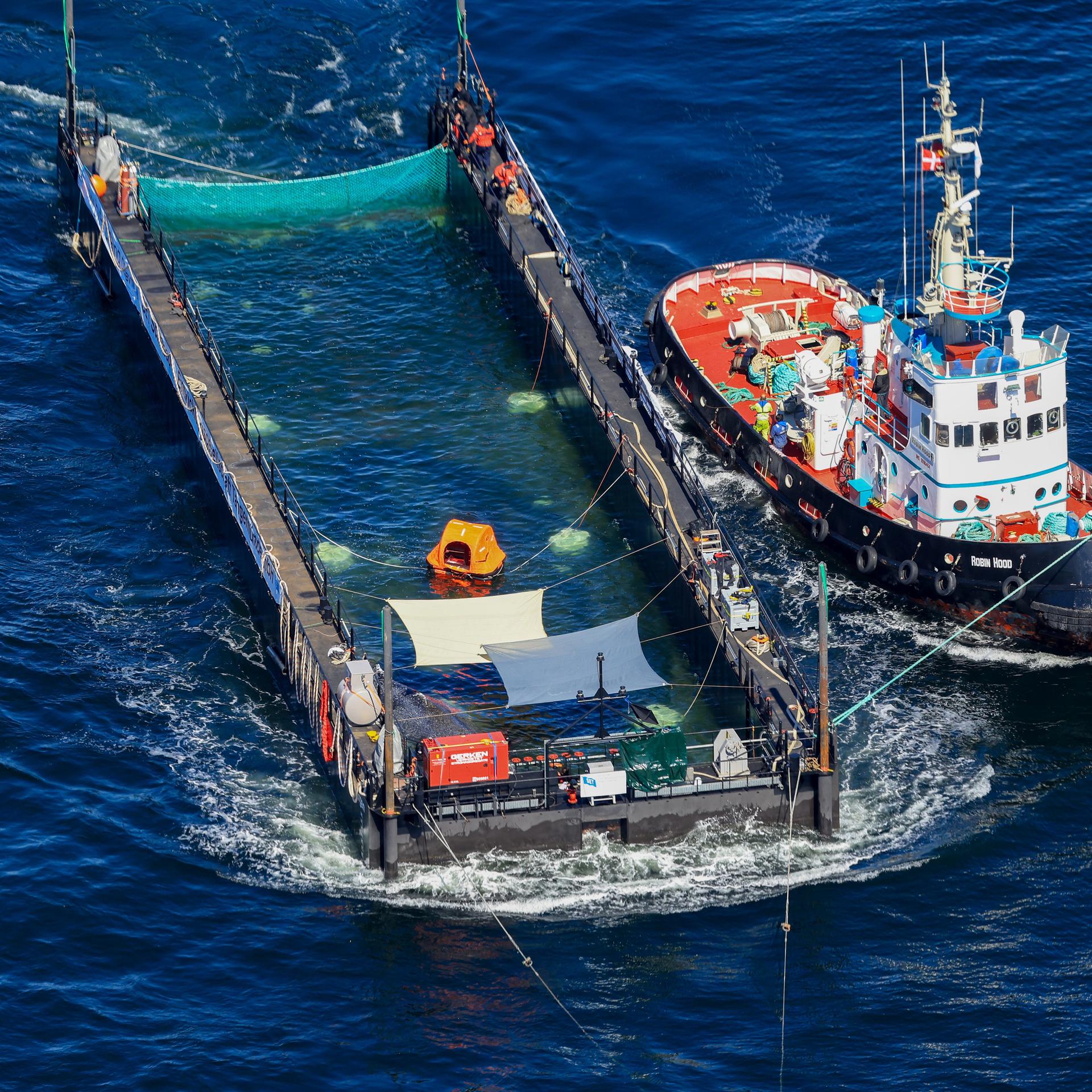Der Buckelwal wird in seiner Barge vom Schlepper Fortuna B entlang der dänischen Küste in Höhe unterhalb von Skagen, im sogenannten Skagerrak, durch die Ostsee gezogen 
