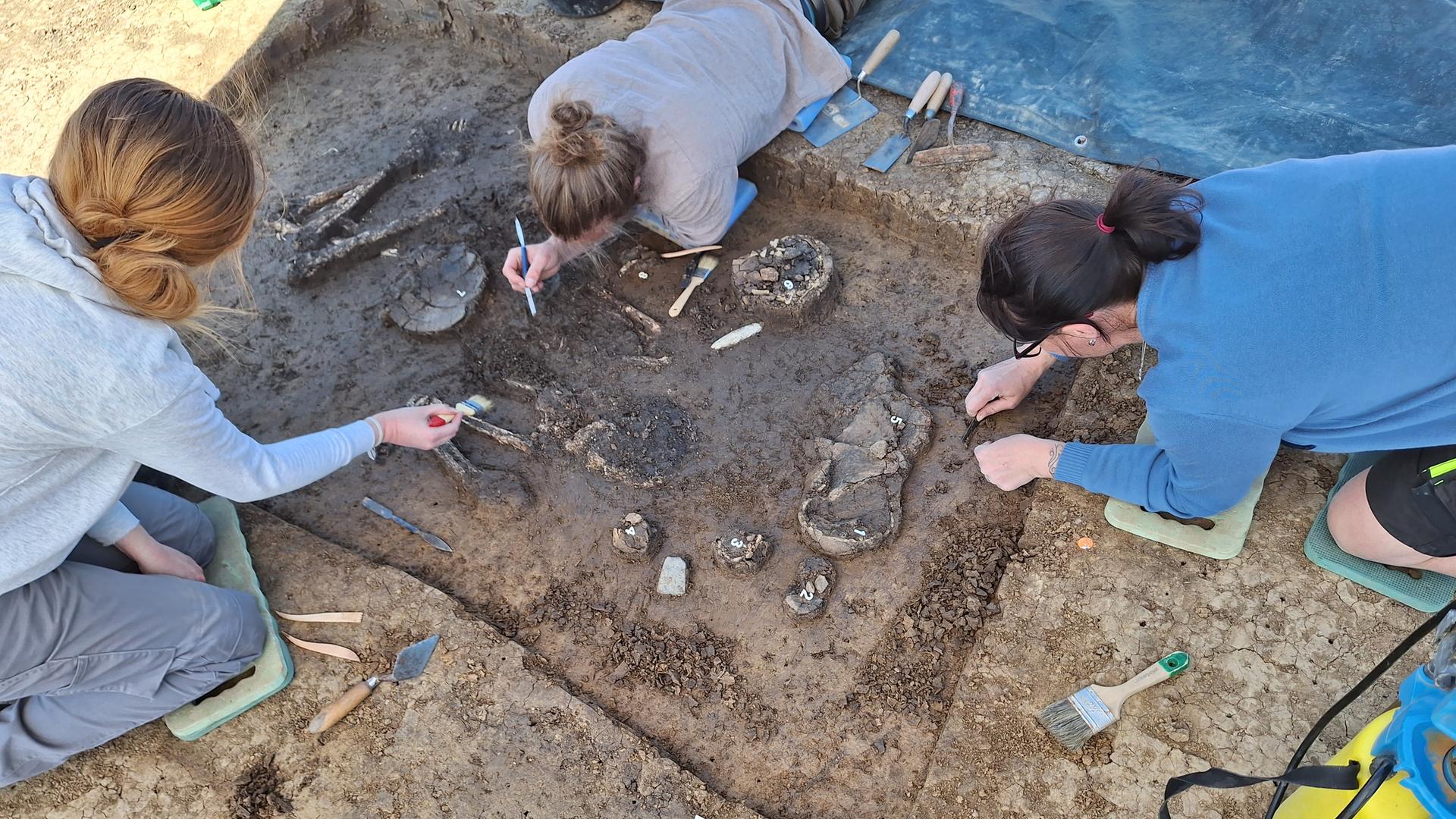 Archäologinnen untersuchen eine Ausgrabungsstätte.