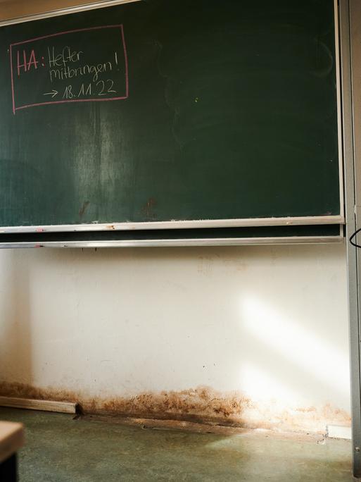 Im Keller des Gymnasiums am Europasportpark (GESP) steigt der Schimmel. Dem Gymnasium droht wegen ausbleibender Sanierung die Schließung.
