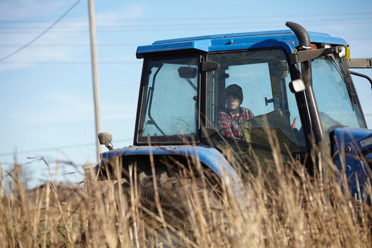 Ein Junge fährt einen blauen Traktor auf dem Feld