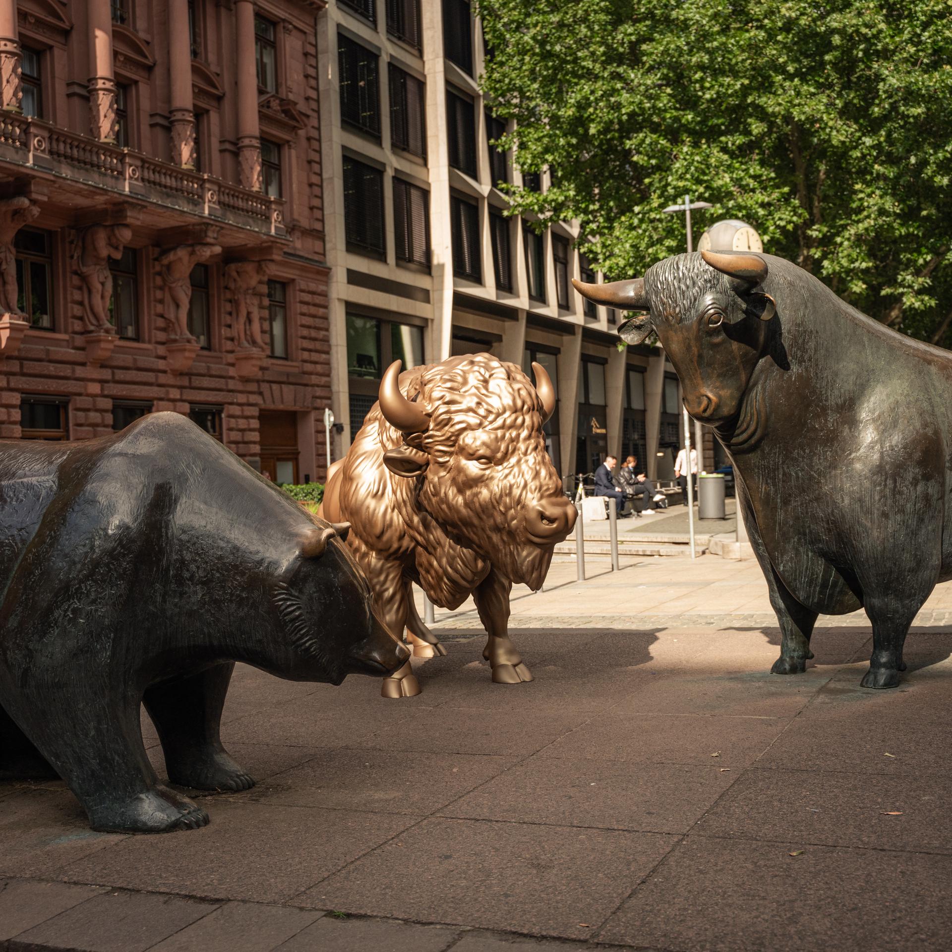 Bitcoin, Ethereum etc. - Krypto-Plattform platziert Bison ne