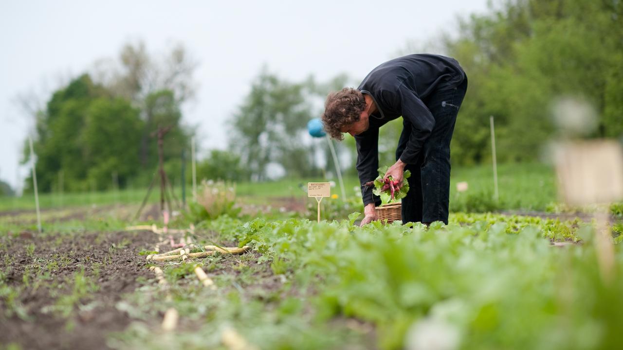 Solidarische Landwirtschaft: Verbraucher Finanzieren Ihren Bauern