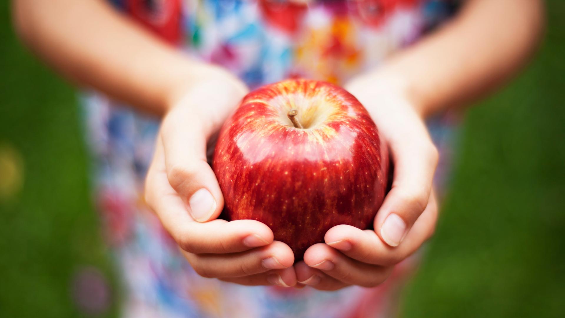 Kinderhände, die einen schönen, roten Apfel halten