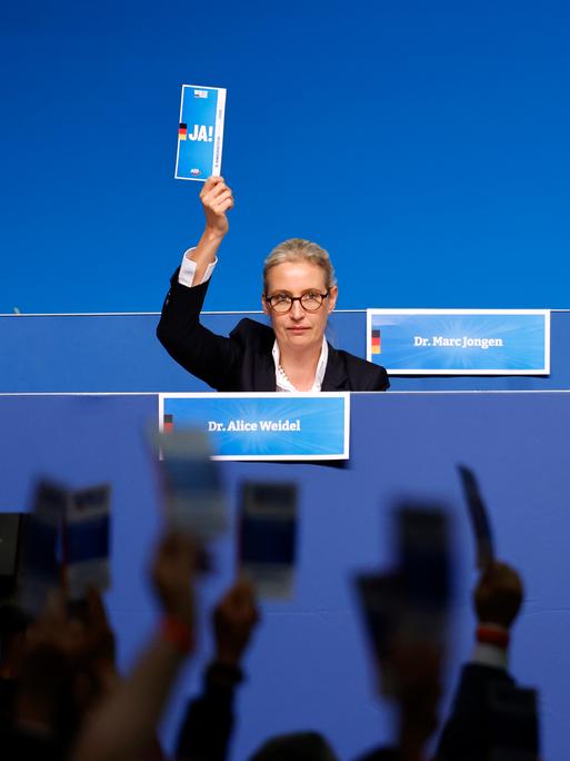 Politikerin Alice Weidel (AfD) und Politiker Tino Chrupalla (AfD) zeigen ihre Stimmkarten auf dem 15. Bundesparteitag der Alternative für Deutschland in der Grugahalle in Essen.