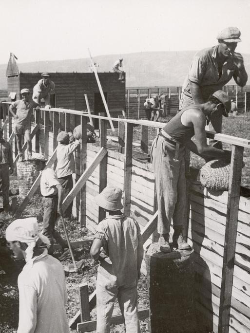 Jüdische Siedler in Palästina: Bau von kugelsicheren, festungsartigen Schutzwänden einer neuen jüdischen Bauernsiedlung. Photographie von Zoltan Kluger. 1935.