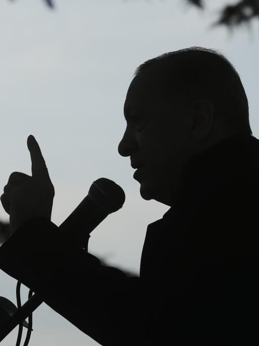 Schattenriss von Recep Tayyip Erdogan mit erhobenem Zeigefinger und Mikrofon.