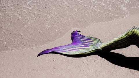 Ein junger Fischer verliebt sich In Oscar Wildes Kunstmärchen in eine Meerjungfrau. Zu sehen: An einem Strand ist ein Bein mit der Flosse einer Meerjungfrau. 