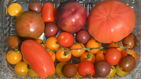 Verschiedene Sorten Tomaten liegen in einer Plastikverkaufspackung.