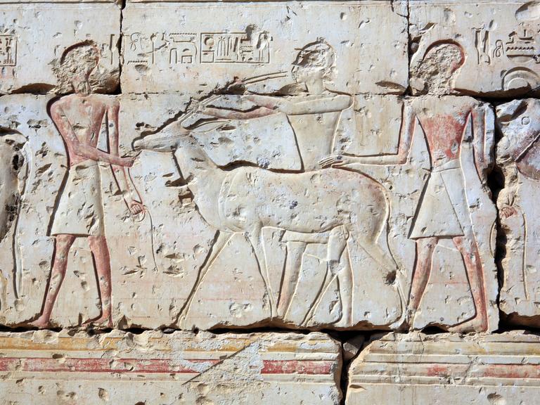 Hieroglyphen im Tempel für Ramses II in Abydos in Ägypten. Dargestellt sind Schriftzeichen und drei Männer, von denen einer eine Gazelle an den Hörnern hält.