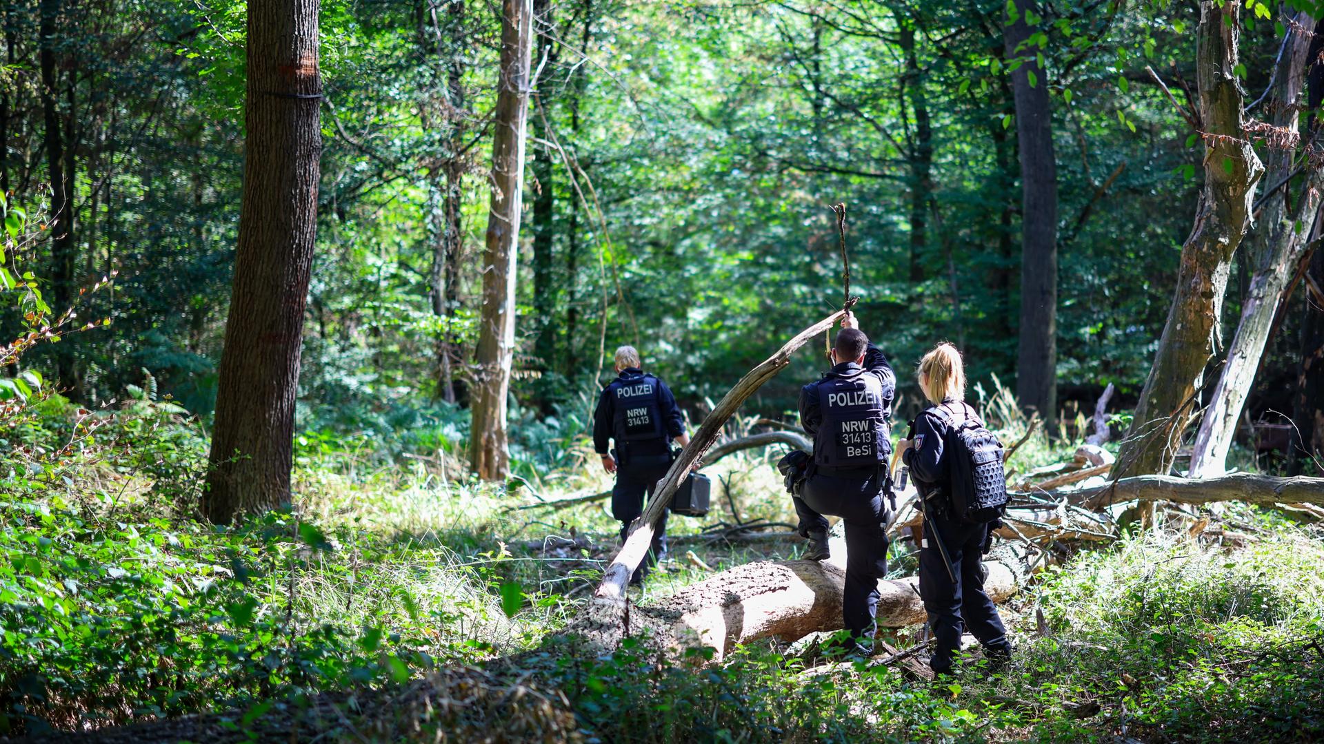 Mehrere Polizeikräfte durchsuchen ein Waldstück am Hambacher Forst.