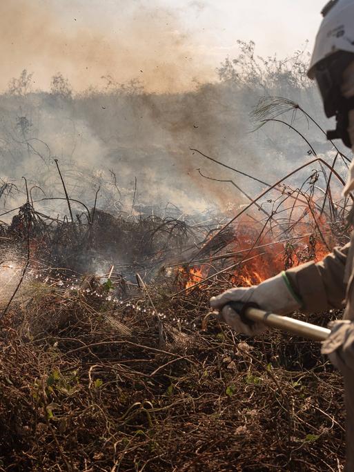 18 Millionen Hektar Wald wurden bereits durch die Brände in Brasilien zerstört.