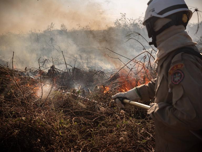 18 Millionen Hektar Wald wurden bereits durch die Brände in Brasilien zerstört.