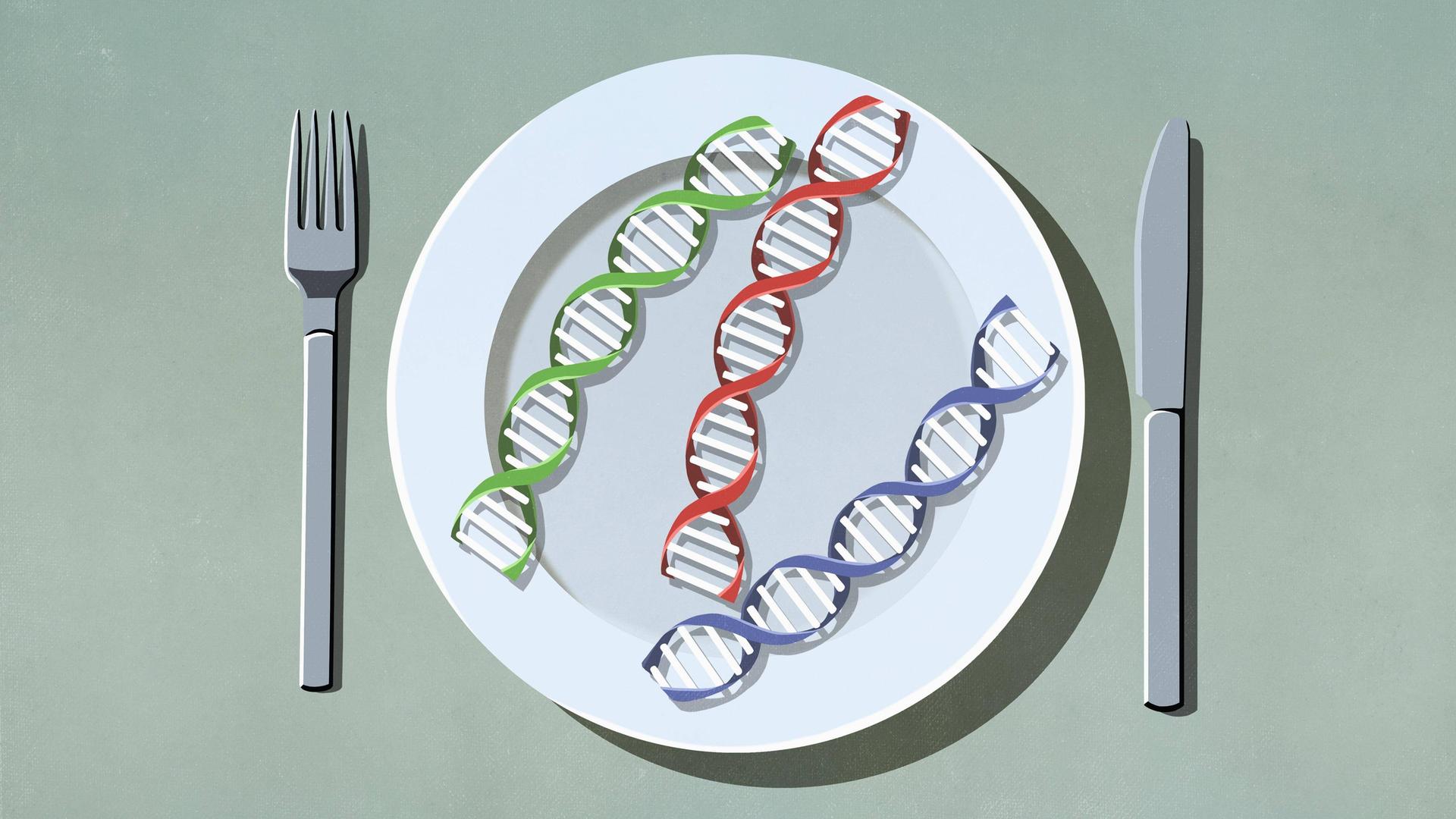 Illustration: DNA Doppelhelixstränge liegen auf einem Teller, Messer und Gabel daneben.