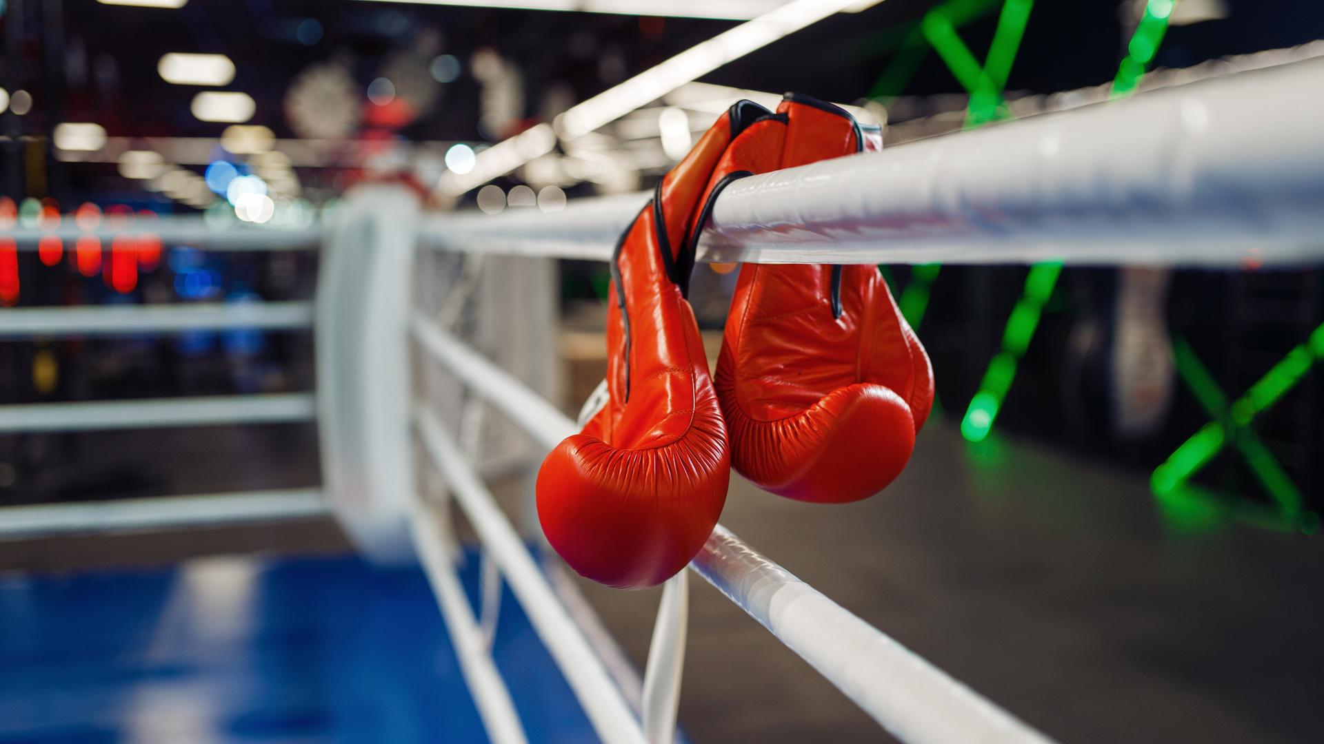 Zwei rote Boxhandschuhe hängen in den Seilen eines Boxrings.