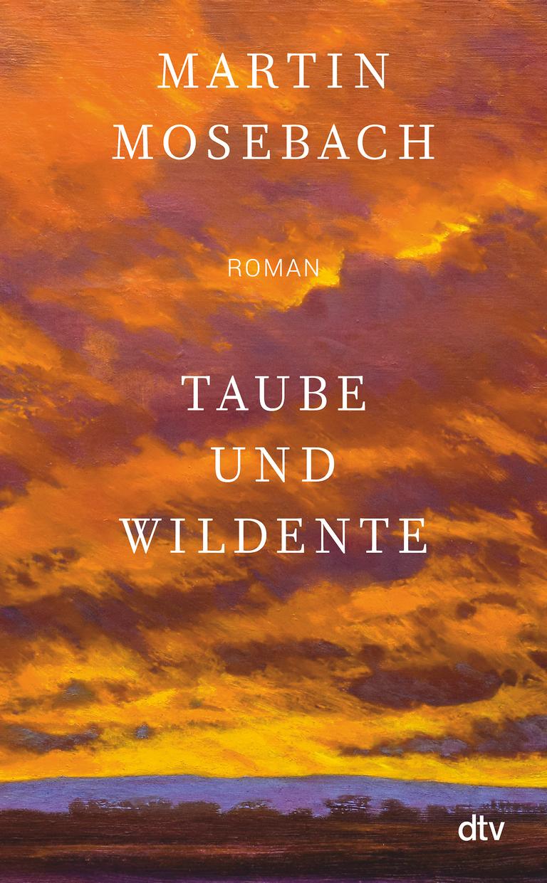 Das Cover zeigt einen gemalten, orange leuchtenden Wolkenhimmel über einem Berg. Darauf Autorenname und Buchtitel.