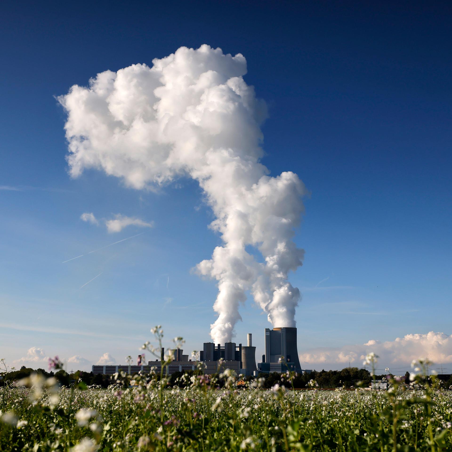 Dampfschwaden steigen in den klaren Herbsthimmel am Kohlekraftwerk Niederaußem des Stromkonzerns RWE. 