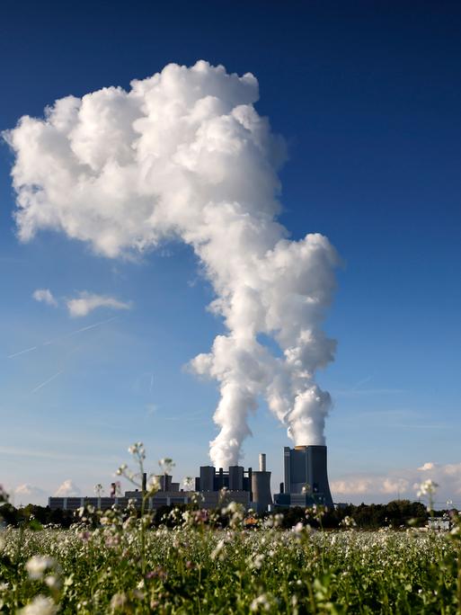 Dampfschwaden steigen in den klaren Herbsthimmel am Kohlekraftwerk Niederaußem des Stromkonzerns RWE. Dampfschwaden steigen in den klaren Herbsthimmel am Kohlekraftwerk Niederaußem des Stromkonzerns RWE.