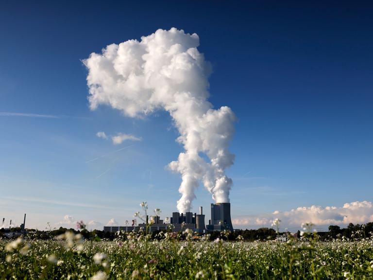Dampfschwaden steigen in den klaren Herbsthimmel am Kohlekraftwerk Niederaußem des Stromkonzerns RWE. 