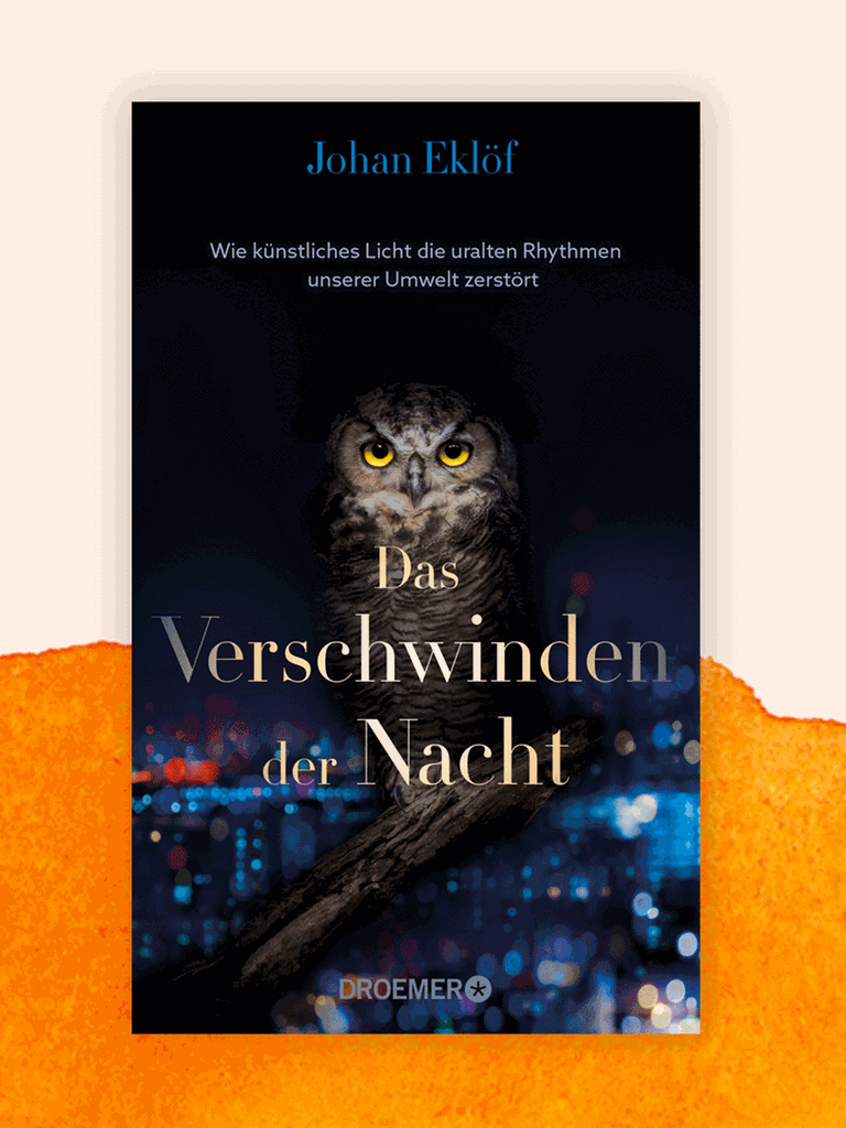 Cover von Johan Eklöfs Buch „Das Verschwinden der Nacht", auf dem eine Eule zu sehen ist.