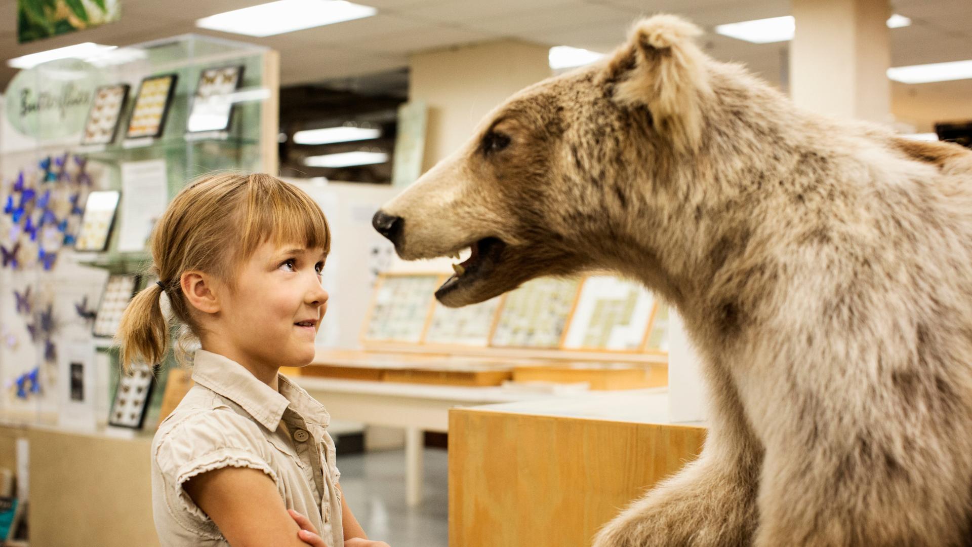 Ein Mädchen steht einem ausgestopften Bär im Museum gegenüber