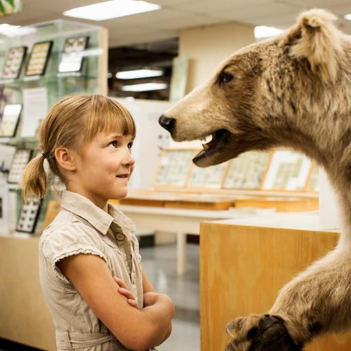 Ein Mädchen steht einem ausgestopften Bär im Museum gegenüber