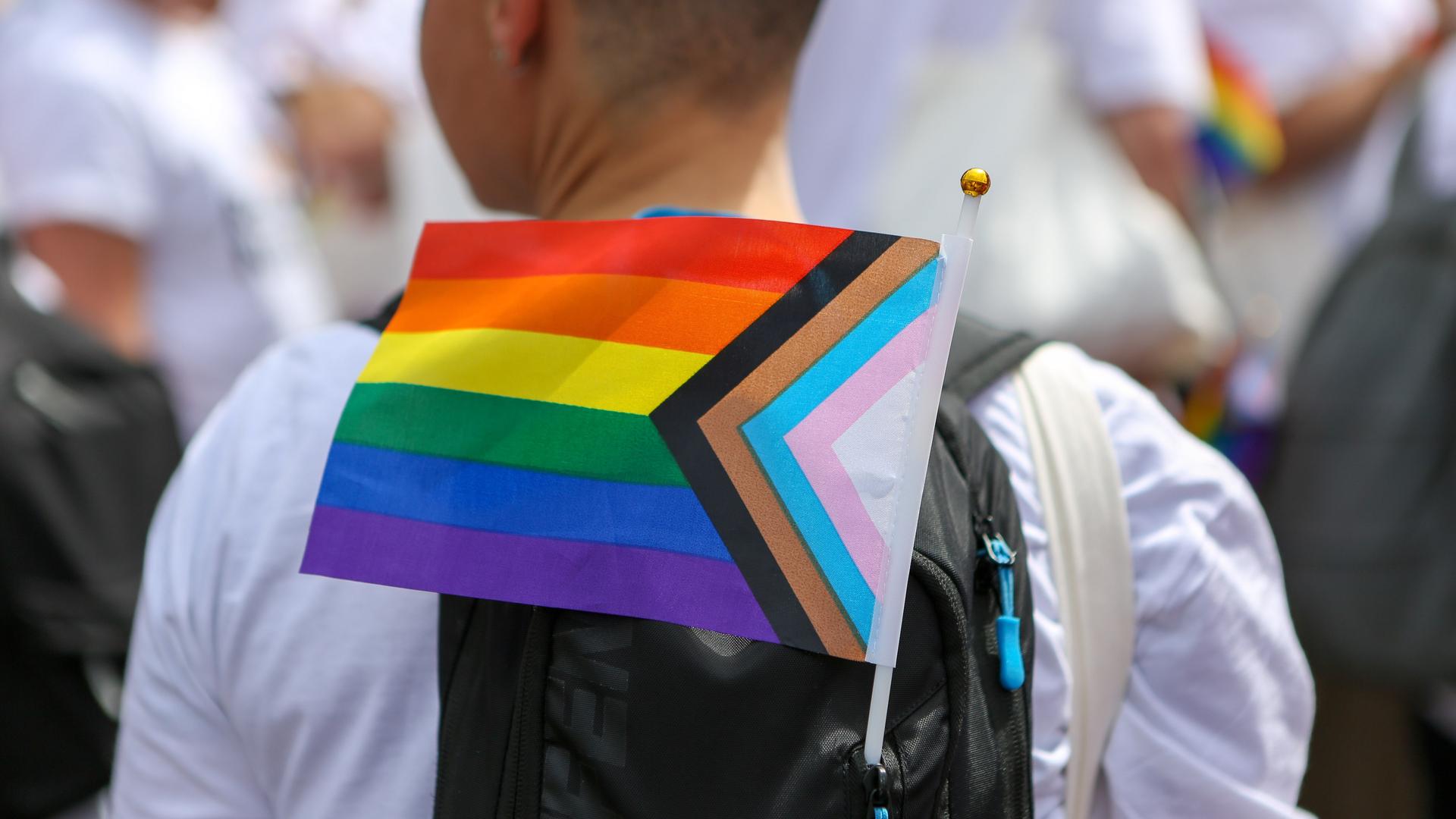 Eine Person nimmt mit einer Pride-Flagge am Rucksack an einer Demonstration teil.