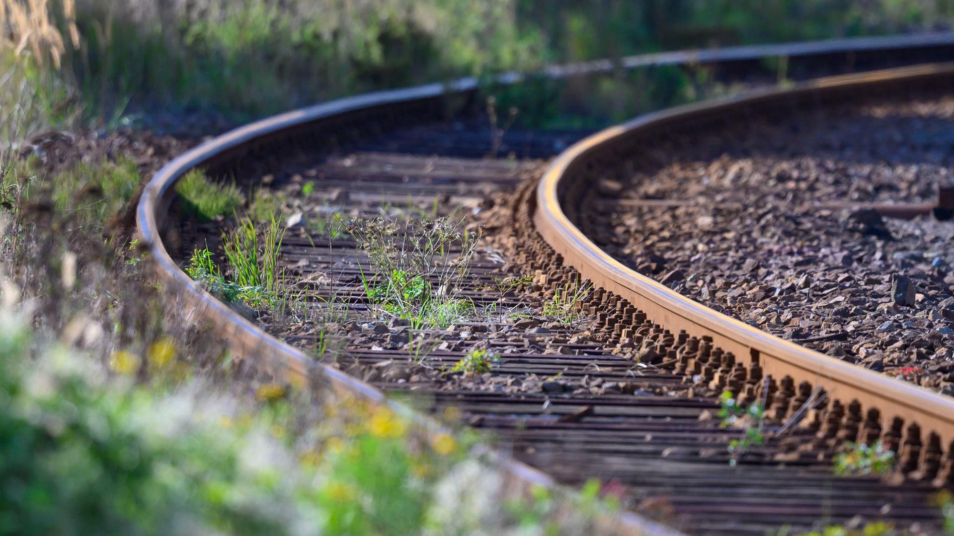 Eine stillgelegte Bahnstrecke, deren Schienen langsam von Unkraut zuwächst. 