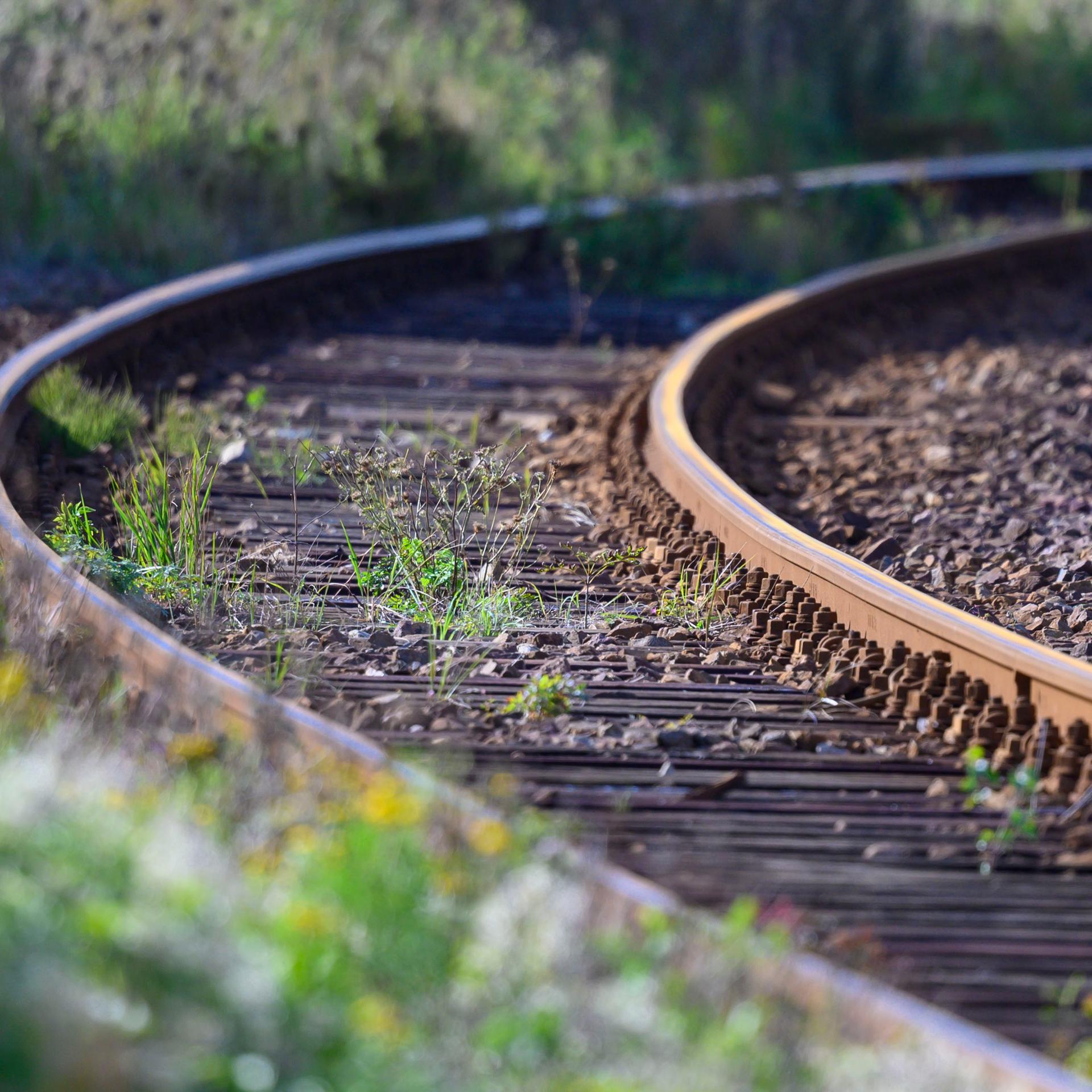 Eine stillgelegte Bahnstrecke, deren Schienen langsam von Unkraut zuwächst. 