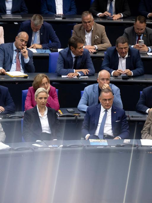 Die Fraktion der AfD im Bundestag: Bernd Baumann , Alice Weidel, Tino Chrupalla und Alexander Gauland.